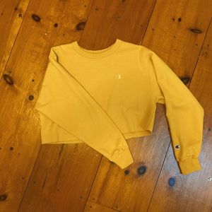 Cropped Champion Sweatshirt